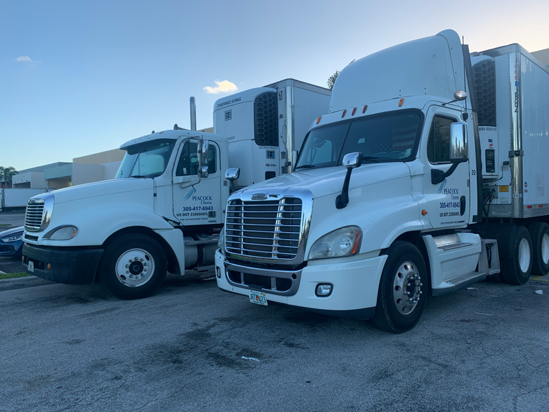 Peacock Truck Cut Vinyl lettering